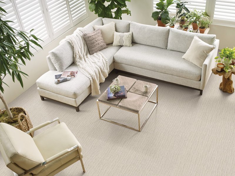 Shaw Carpet Sale